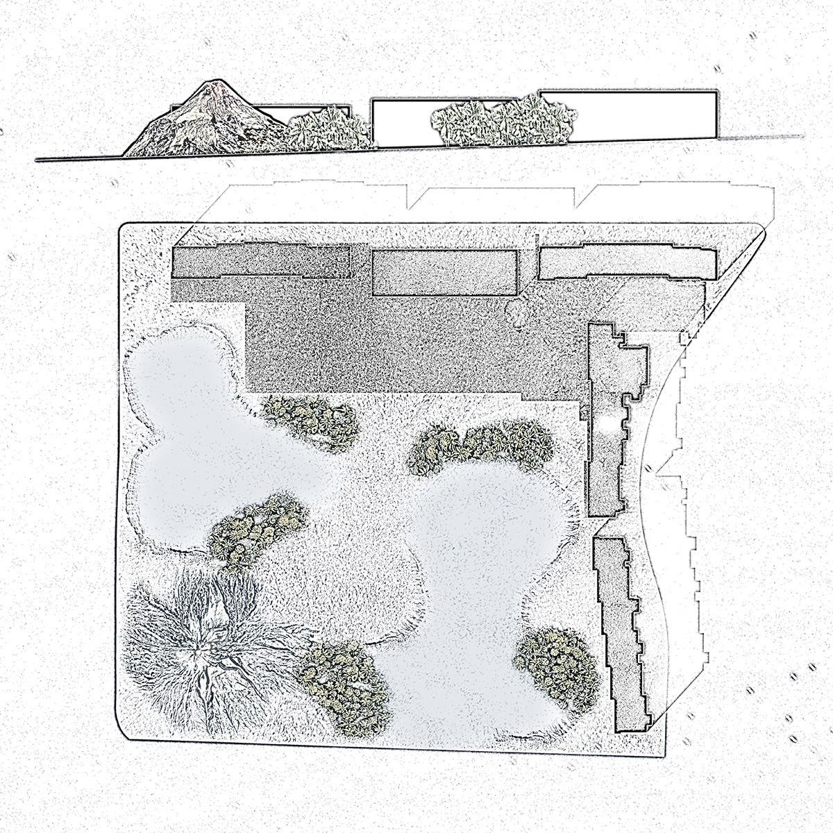 Un maar es un lugar de exuberante naturaleza, como el proyecto que propusimos en Recon Arquitectura para concurso en este emblemático hotel de Tenerife