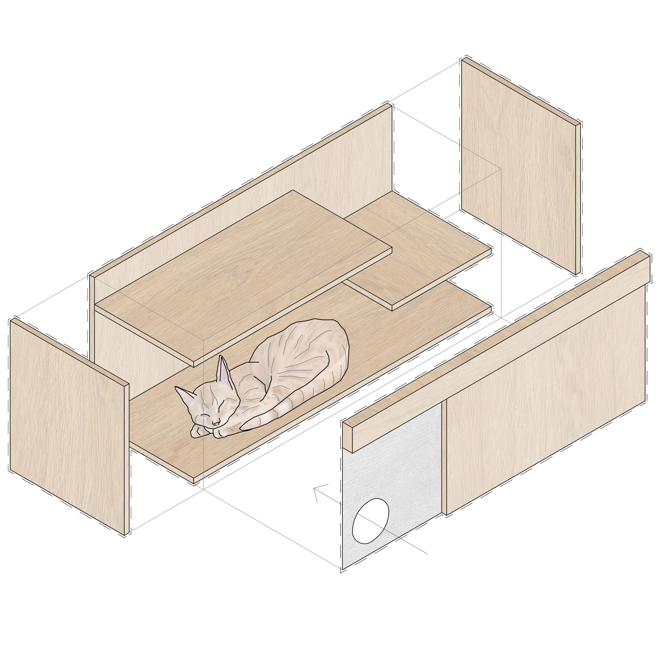 Recon Arquitectura propuso una vivienda para un gato